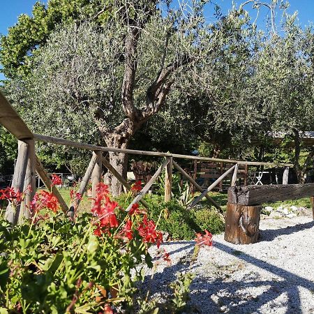 Santa Croce Villa Fossato di Vico Dış mekan fotoğraf
