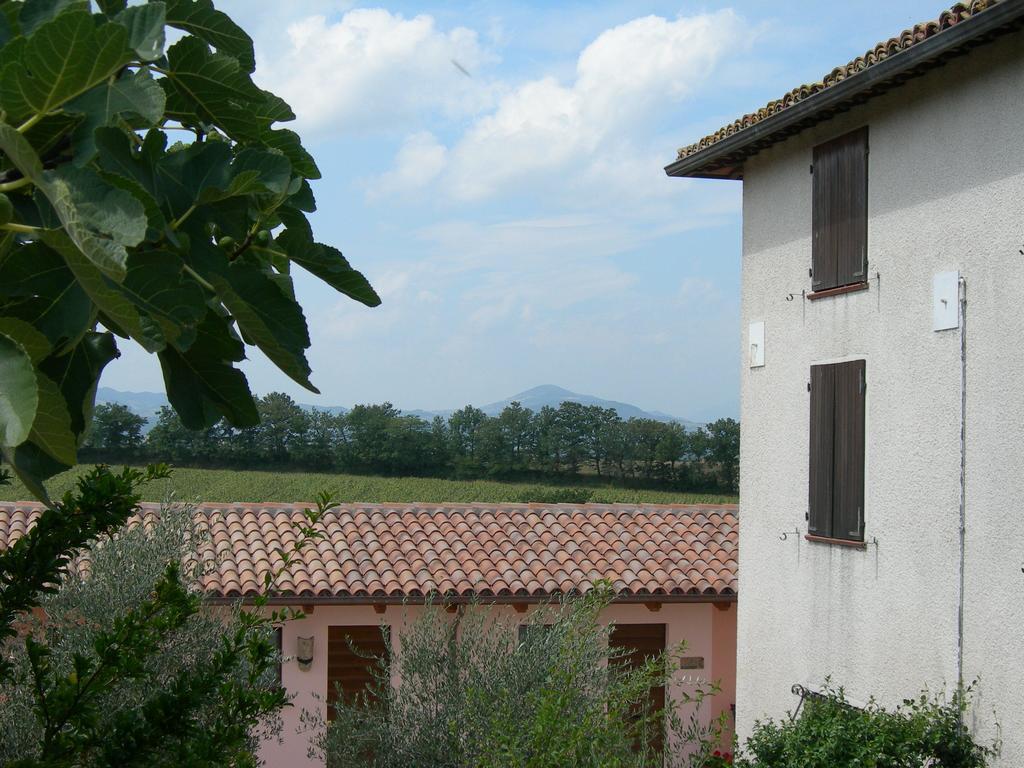 Santa Croce Villa Fossato di Vico Dış mekan fotoğraf